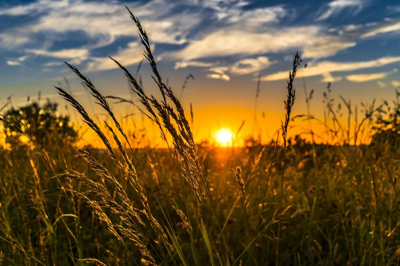Źródło: pixabay / Felix-Mittermeier