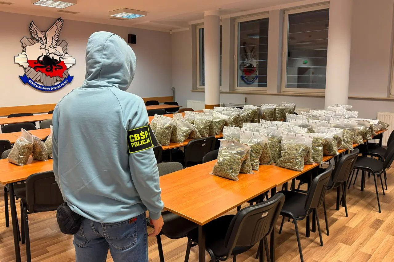 Źródło: CBŚP