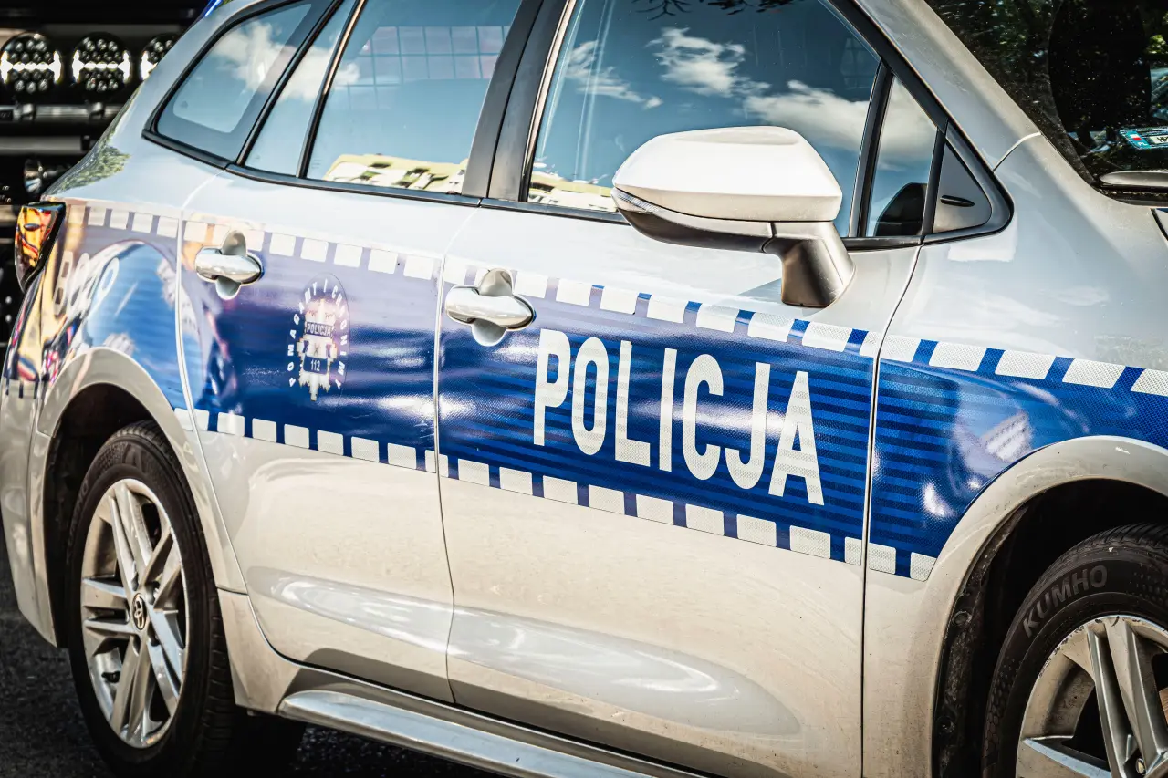 Źródło: Pexels  /  fotoinformator pl