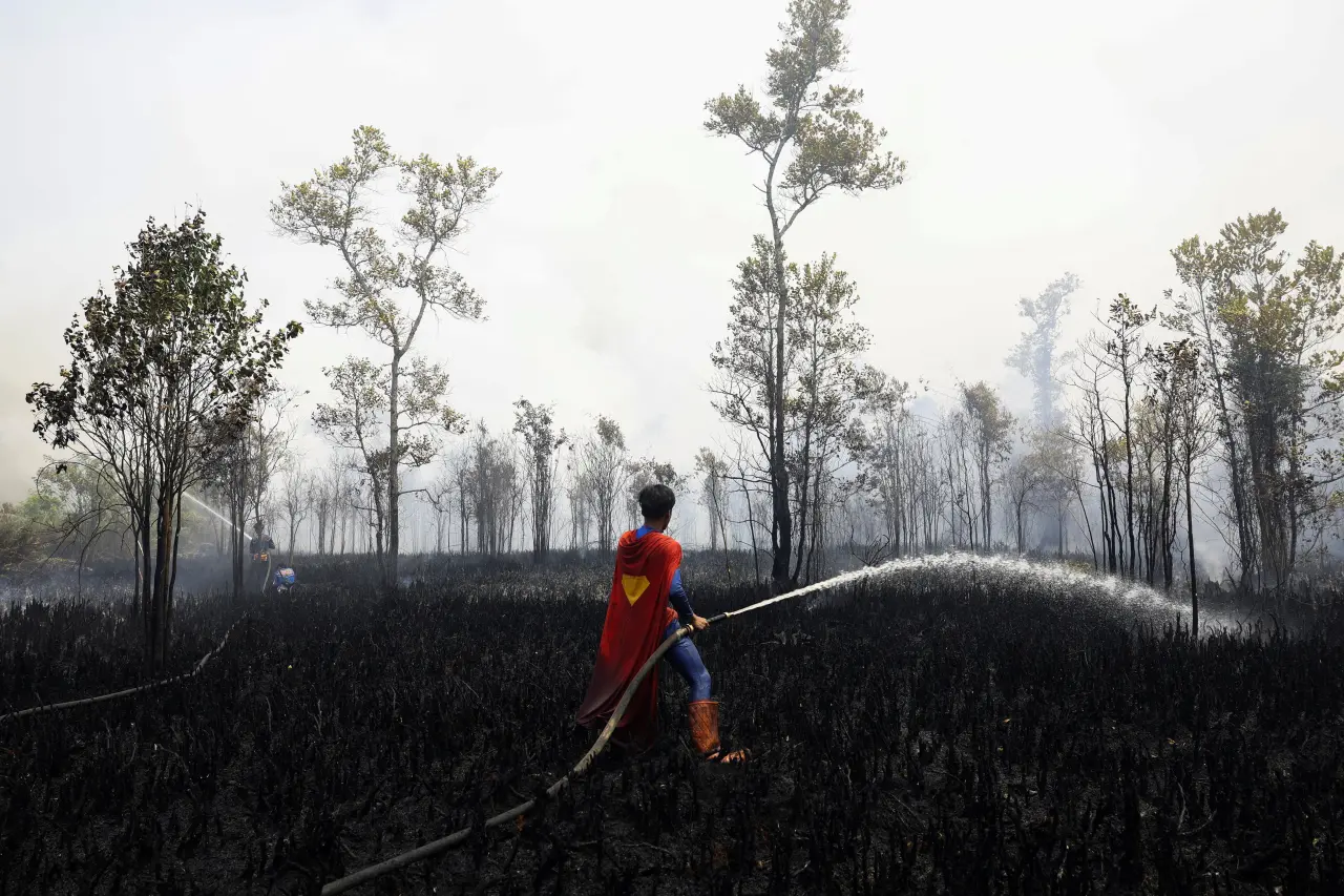 Źródło: Ajeng Dinar Ulfiana / Reuters / Forum