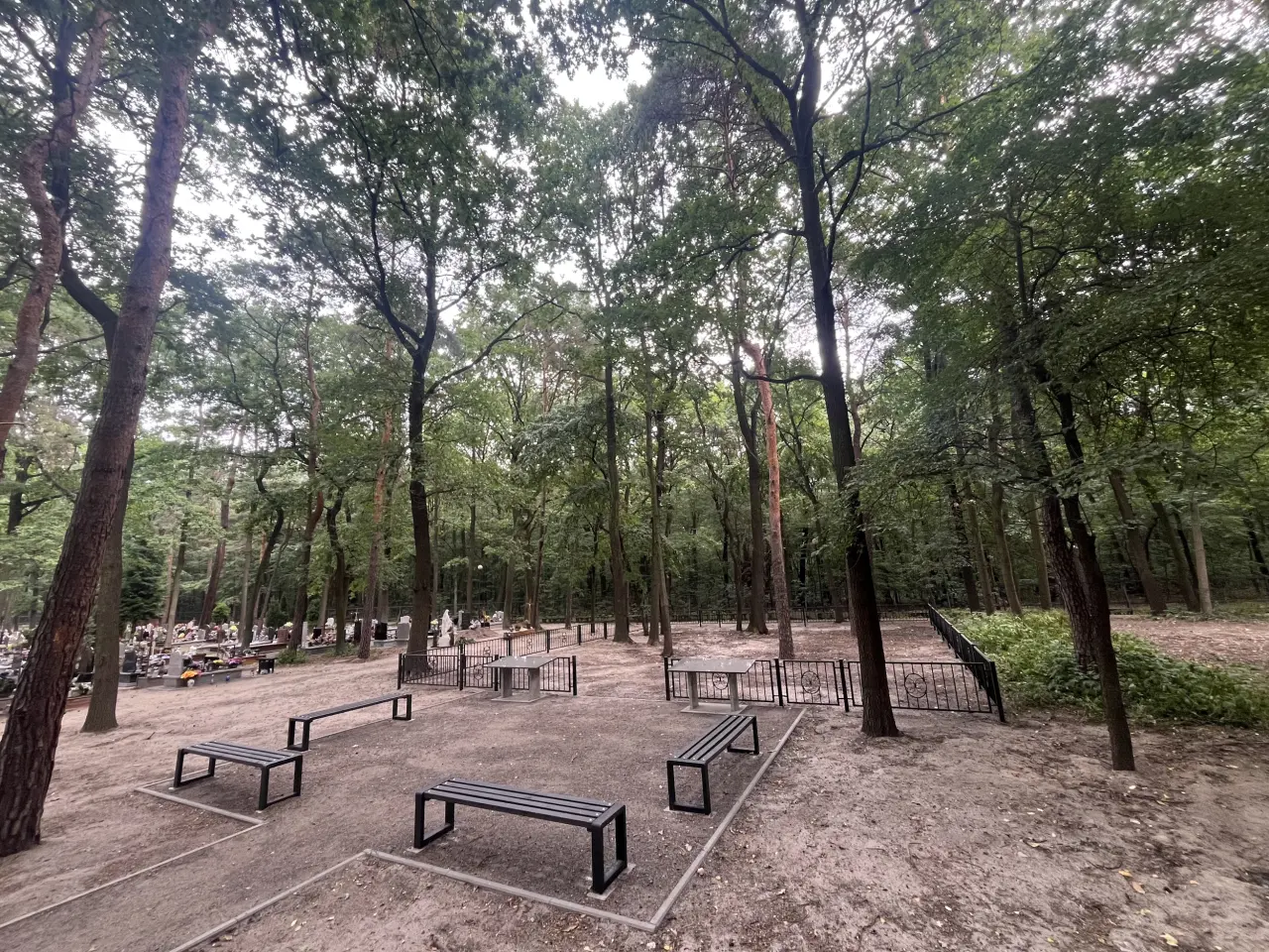 Źródło: MZUK Gliwice