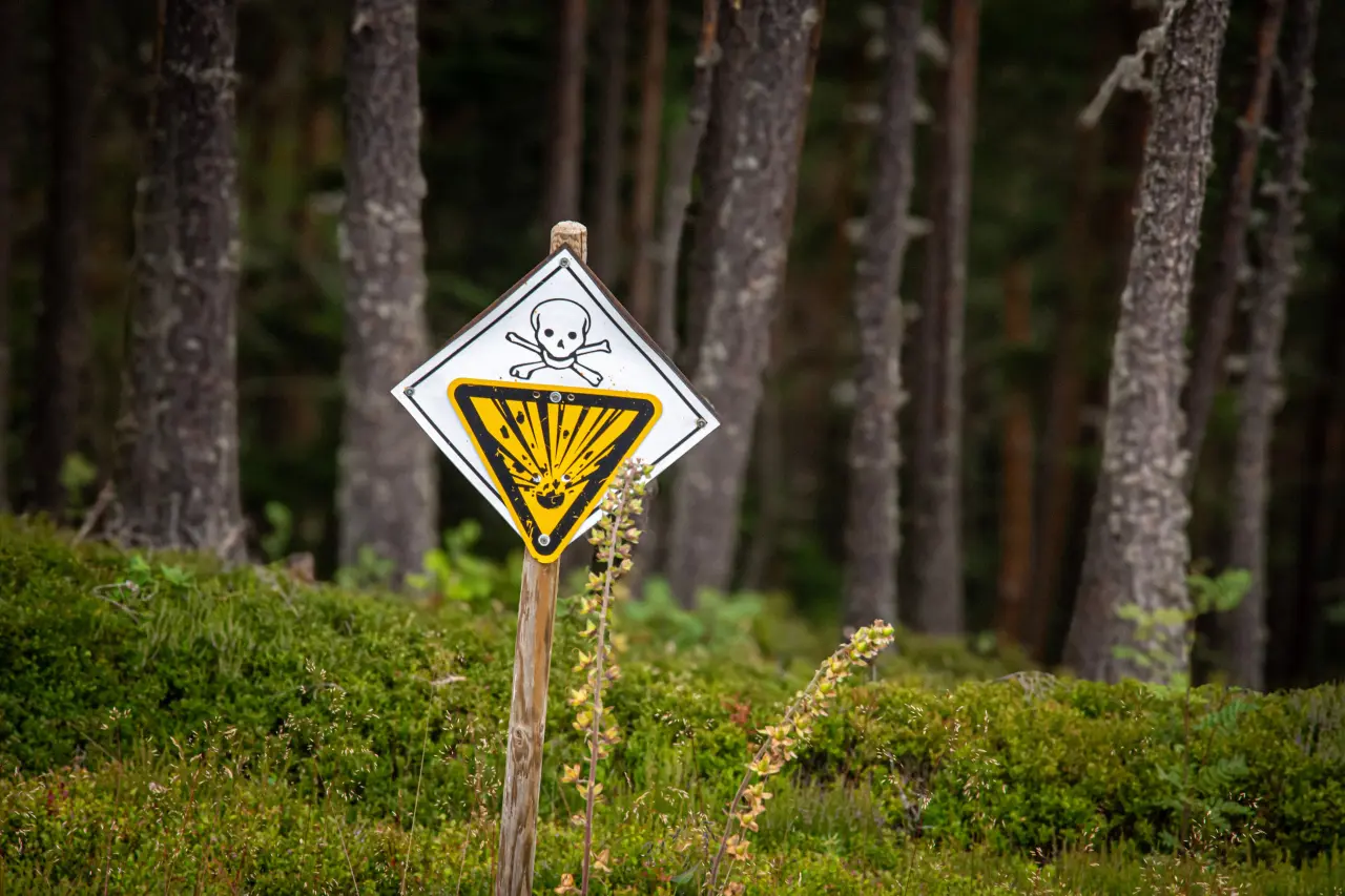 Źródło: Pexels