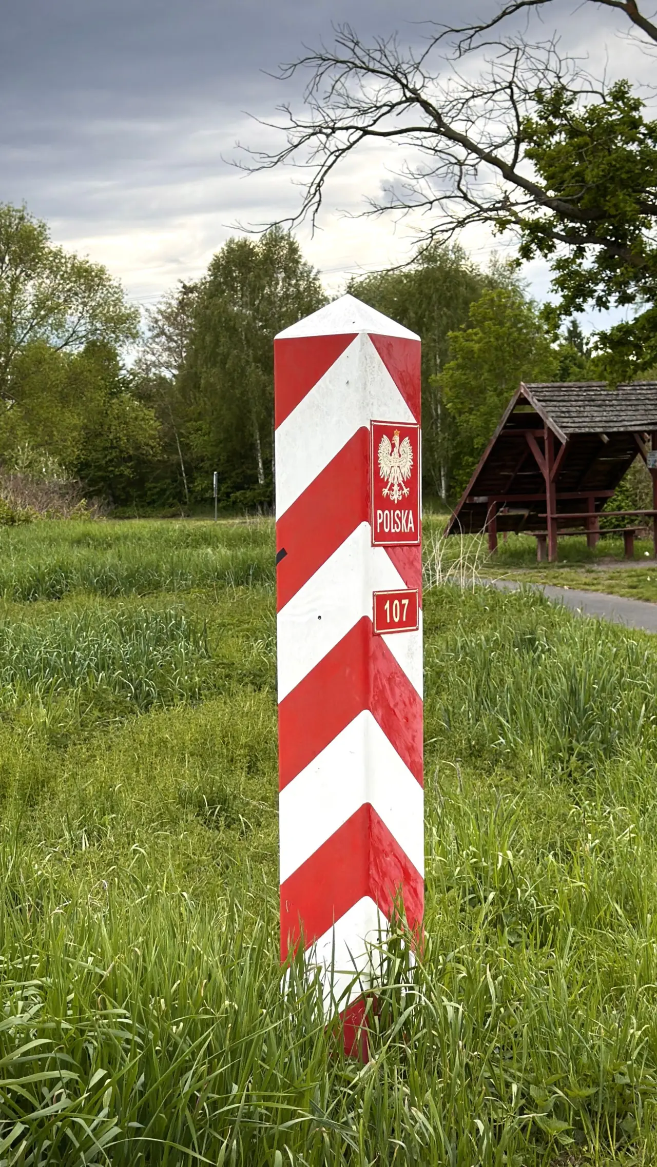 Źródło: pexels.com