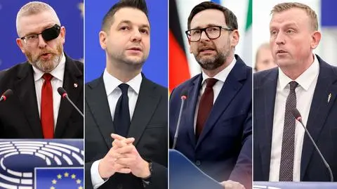 Europosłowie pod lupą, Źródło: TVN24
