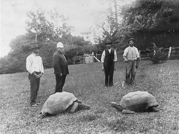 Źródło:  Unknown photographer - https://www.bbc.co.uk/programmes/p03v1kys/p03v1h5t, Public Domain, https://commons.wikimedia.org/w/index.php?curid=71594657