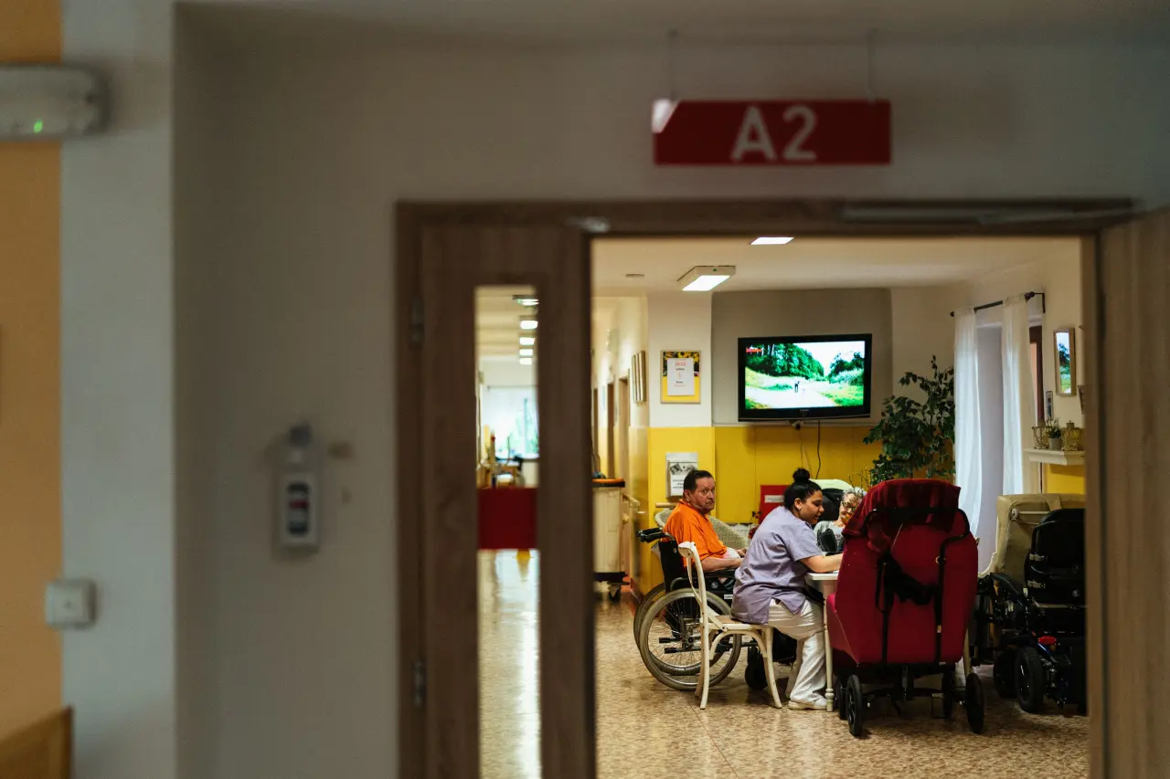Źródło: Pexels